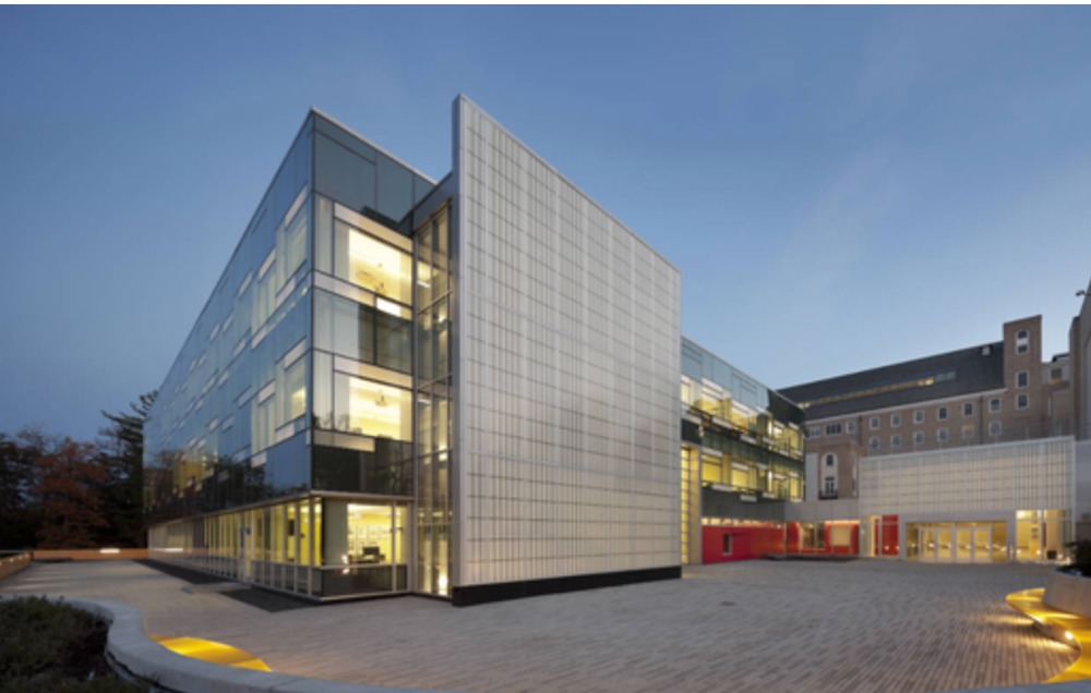 春药什么牌子好女