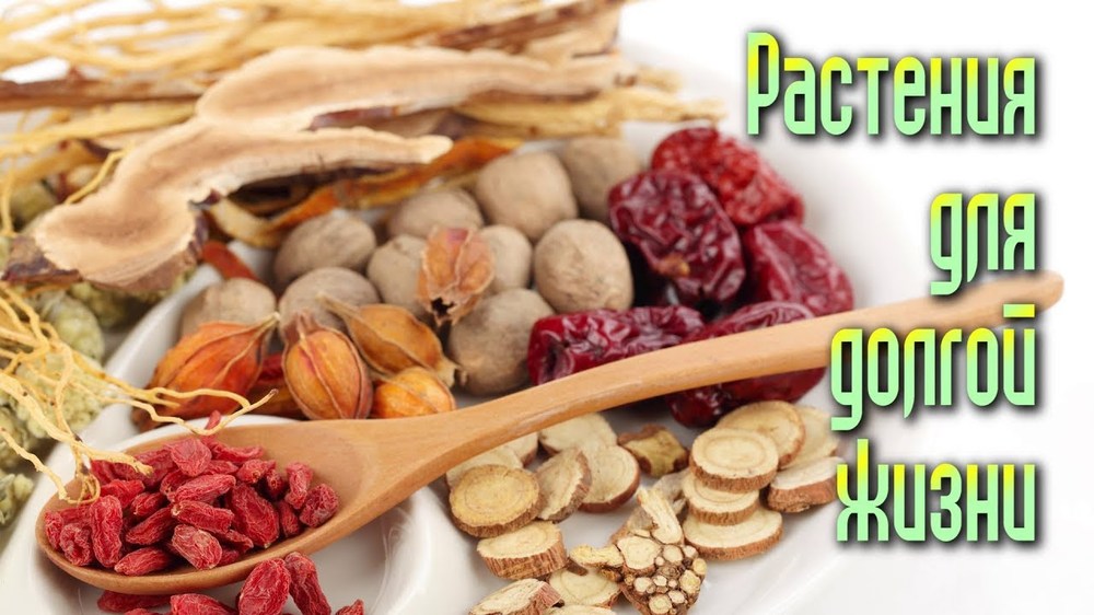 谜晕药商城谜魂药网购买