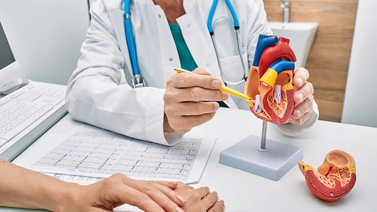 催清药哪里购买